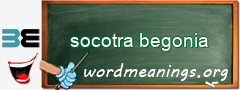 WordMeaning blackboard for socotra begonia